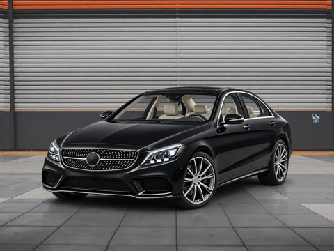 Black sedan in roller door setting